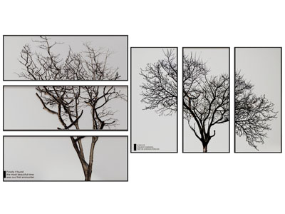 现代三联装饰挂画3d模型 现代三联装饰挂画