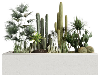 现代户外花坛多肉植物景观园艺小品