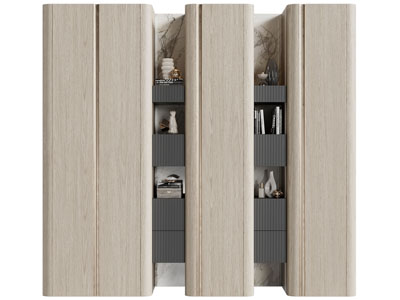 现代收纳装饰柜