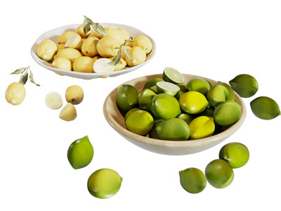 现代柠檬 梨水果食物