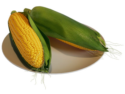 现代玉米 水果食物