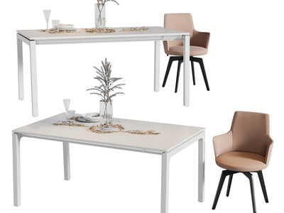 现代长方形餐桌椅组合3d模型 现代长方形餐桌椅组合