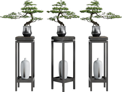 新中式花架 松树盆景盆栽