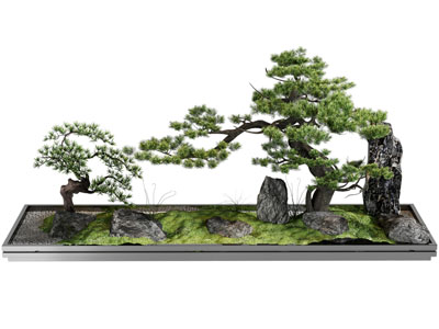 新中式松树盆景盆栽