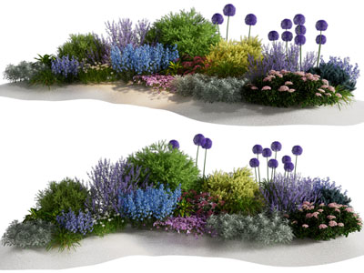 现代花草花卉植物 景观园艺小品