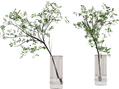 现代玻璃花瓶树枝