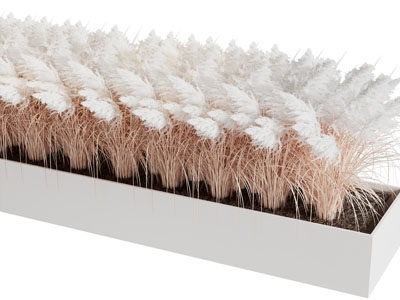现代户外花坛芦苇景观园艺小品