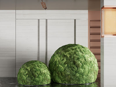 现代室内青苔景观园艺小品