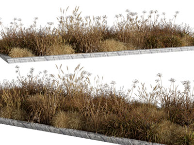 现代花坛枯黄的花草景观园艺小品