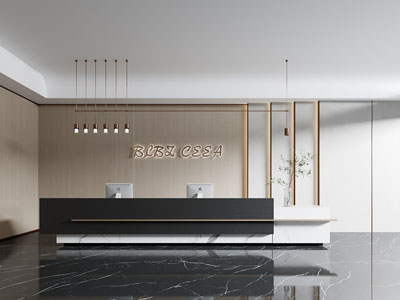 现代公司大堂前台接待