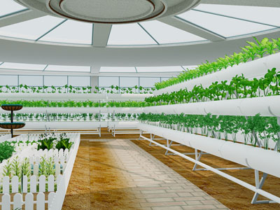 现代阳光房 温室大棚 花房