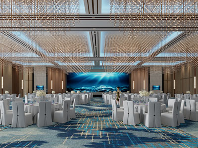 现代酒店婚庆宴客厅 就餐区