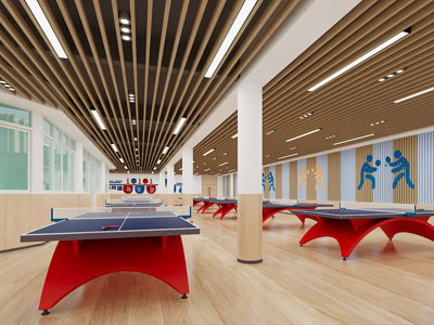 现代乒乓球室 体育馆