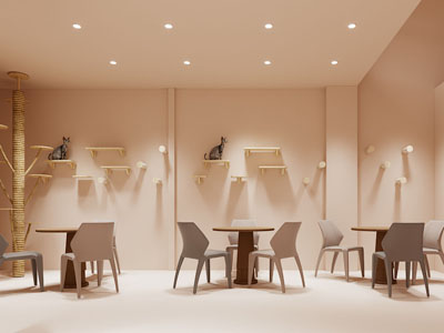 现代宠物猫主题咖啡馆