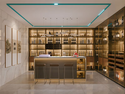 现代轻奢酒窖 品酒室