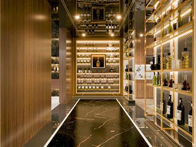 现代轻奢酒窖 品酒室