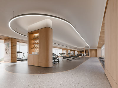 现代健身房3d模型 现代健身房