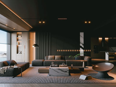 现代黑色客厅