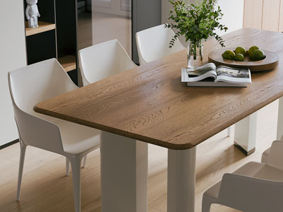 现代实木餐桌椅组合3d模型 现代实木餐桌椅组合