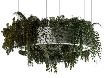 现代植物吊灯 绿植吊篮吊灯