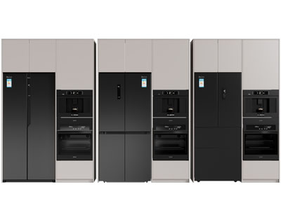 现代嵌入冰箱 烤箱的橱柜