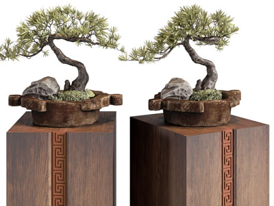 新中式松树盆景盆栽