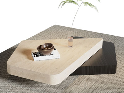 现代异形茶几3d模型 现代异形茶几