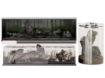 现代玻璃鱼缸水族