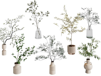 现代花盆盆栽植物