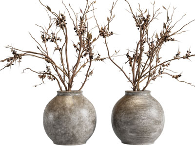 侘寂风陶艺花瓶干枝