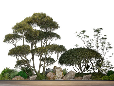 现代花坛 树木植物景观园艺小品