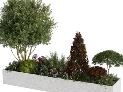 现代花坛树木 花卉景观园艺小品