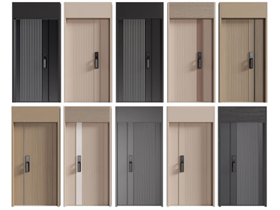 现代单扇 子母入户平开门