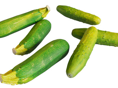 现代黄瓜 葫芦瓜 蔬菜