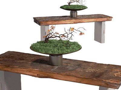 侘寂风盆景盆栽