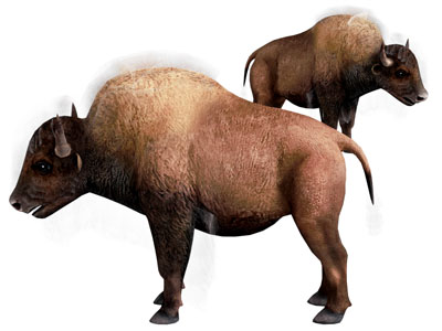 现代水牛 爬行动物