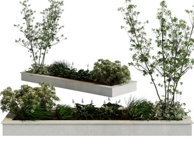 现代花坛花草植物景观园艺小品