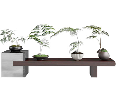 新中式盆景盆栽