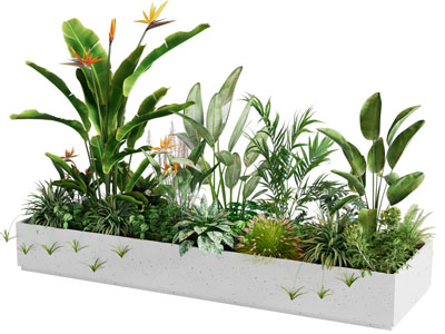 现代花池花草盆栽植物