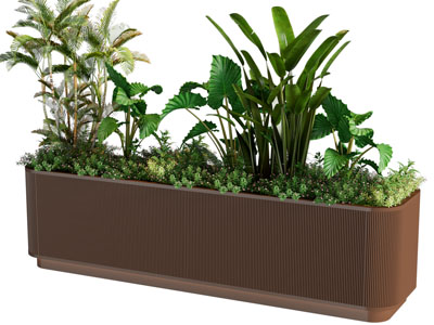 现代花箱花草花卉盆栽植物