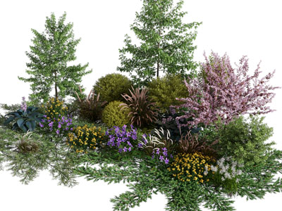 现代花草 灌木植物