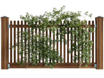 现代实木篱笆 藤蔓植物 植物墙