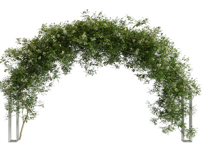 现代藤蔓植物装饰的拱形门 大门