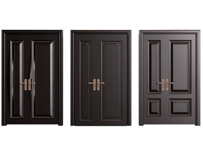 现代双开门 子母入户平开门