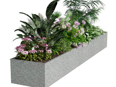 现代花坛花卉花草盆栽植物