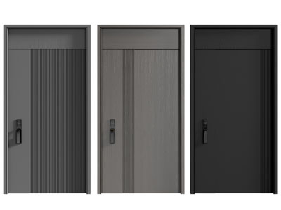 现代带密码指纹锁的入户平开门