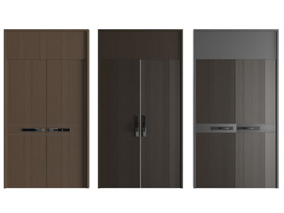 现代双开门 大门