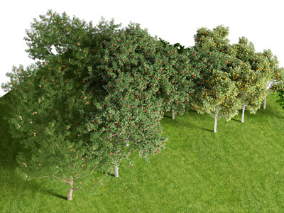 现代公园花树草地景观园艺小品