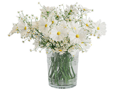 现代玻璃花瓶雏菊摆件组合