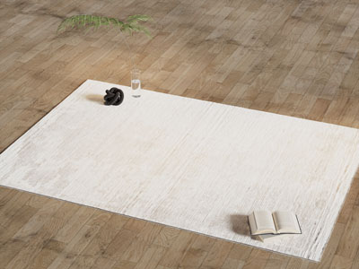 现代实木地板上的长方形地毯3d模型 现代实木地板上的长方形地毯